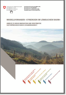 Publikation Modellvorhaben «Synergien im ländlichen Raum»