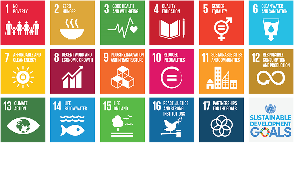 sustainable development goals education 2030