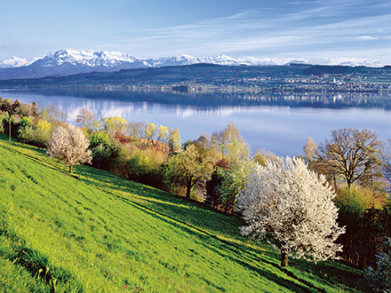 Le lac de Sempach, élément identitaire et espace de délassement important de la région Sursee-Mittelland.