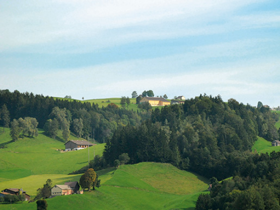 Le bâtiment modèle montre qu’il est possible de mieux intégrer les étables dans le paysage du canton d’Appenzell Rhodes-Intérieures.