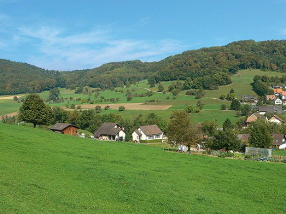 A Zuzgen, des réaffectations volontaires permettent d’améliorer l’exploitation agricole.