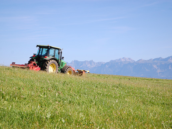 L’agriculture Nord lausannoise aux portes de la ville : un paysan fauche son champ à quelques dizaines de mètres de l’aérodrome de la Blécherette, sur un fond de panorama alpin.