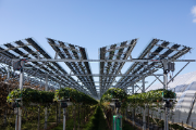 6.	Les plantes cultivées ont besoin de lumière ; les modules PV conçus pour l’agrivoltaïsme ne sont donc pas totalement couvrants comme ils le sont sur les toitures des bâtiments.