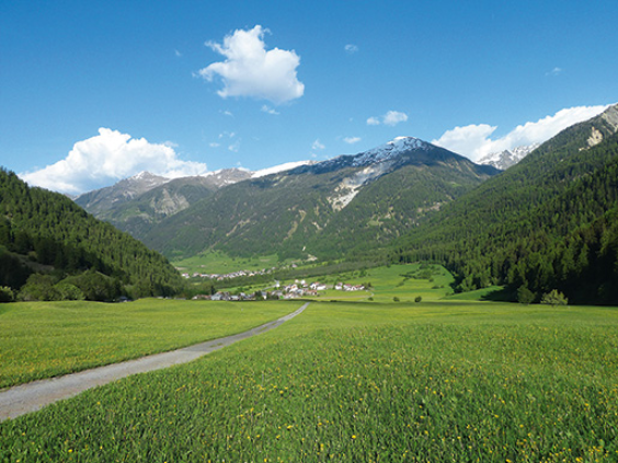 La Val Müstair ha testato la possibilità di utilizzare il colaticcio in un impianto di produzione di biogas per produrre elettricità verde.