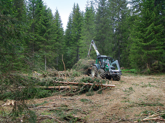 Il legno dei pascoli boschivi del Cantone di Neuchâtel costituisce una fonte energetica rinnovabile.