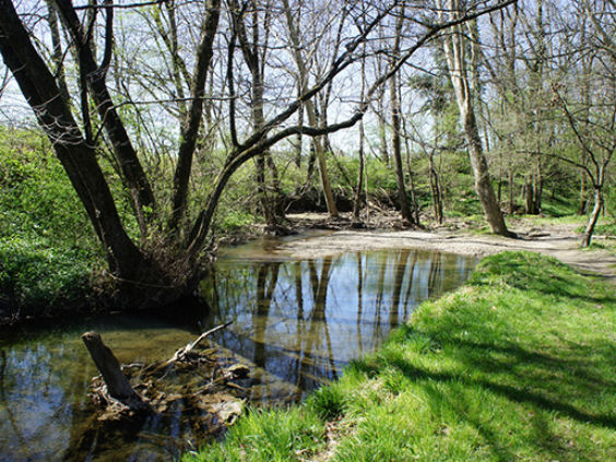 Parco del Laveggio