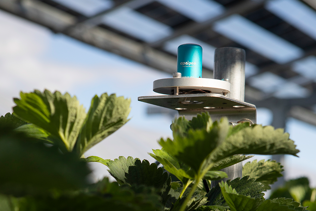 5.	Afin d’évaluer l’effet des panneaux PV sur les cultures, l’institut de recherche Agroscope mesure la température et le degré d’humidité de l’air.